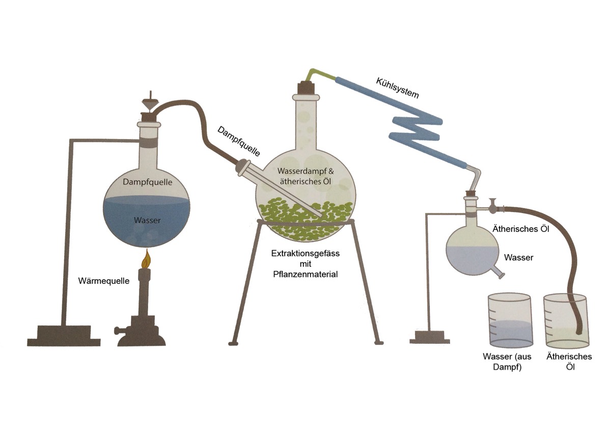 ätherische Öle, Ursula Prochazka, 