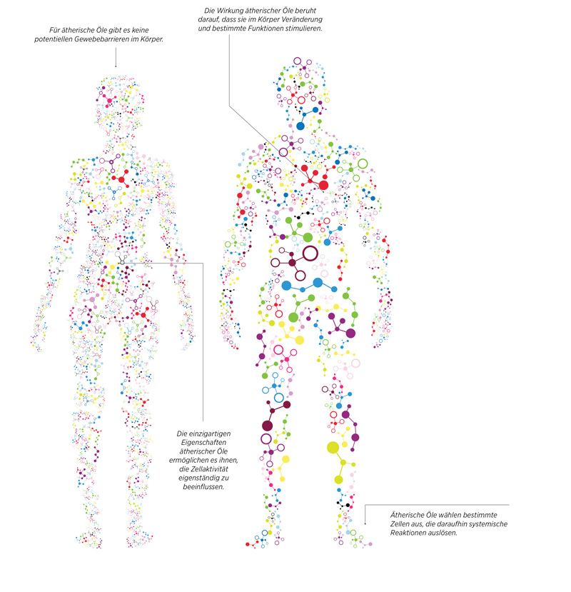 ätherische Öle, Anwendung Öle, Ursula Prochazka, doterra 