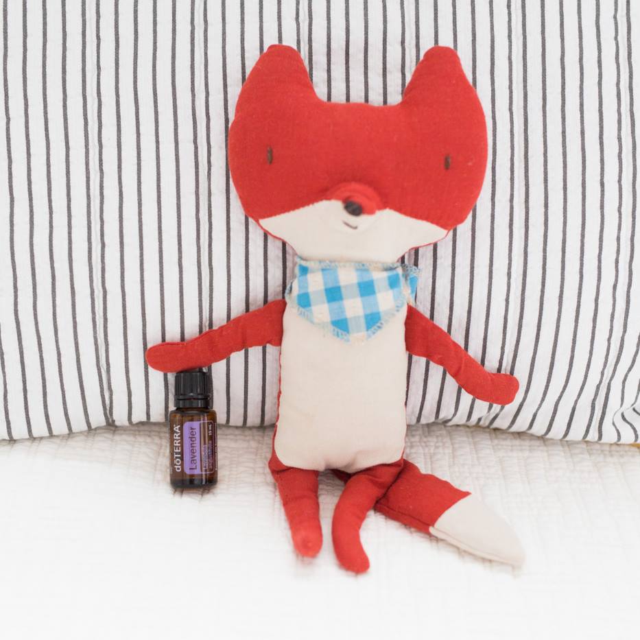 Schlaf, Kuscheltier, gesunder Schlaf